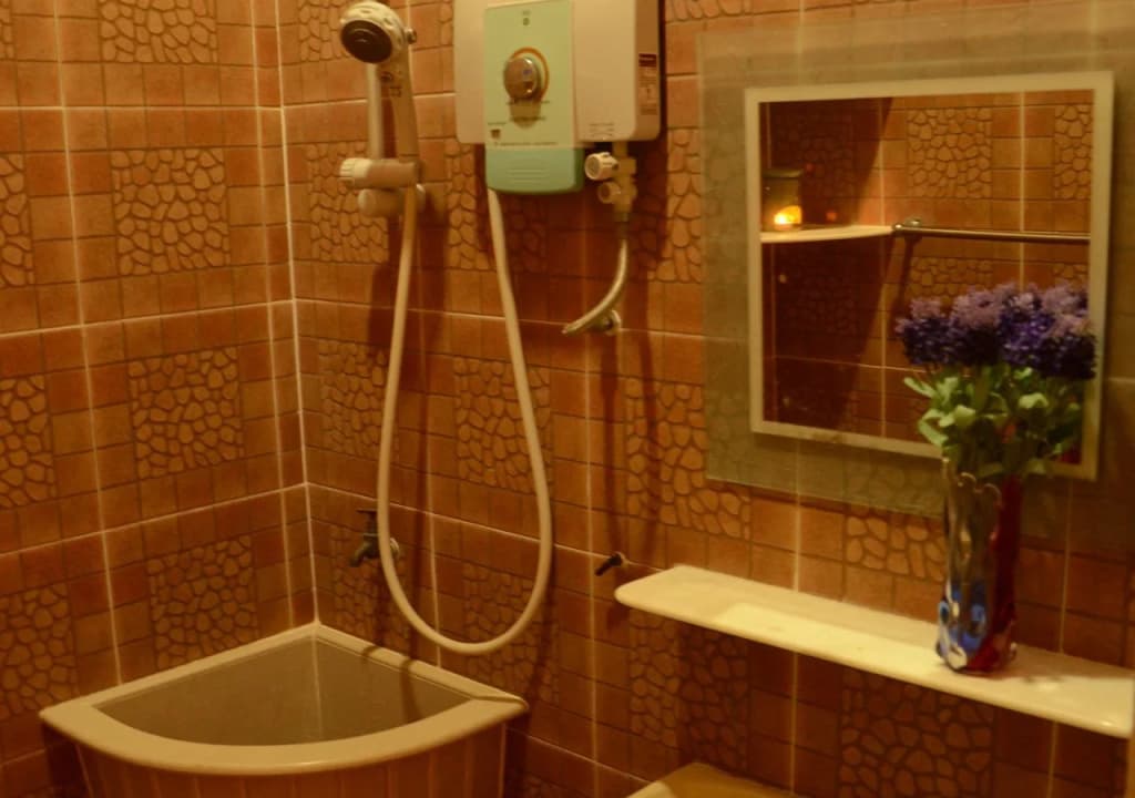 Hotel Ceylon - photo 7