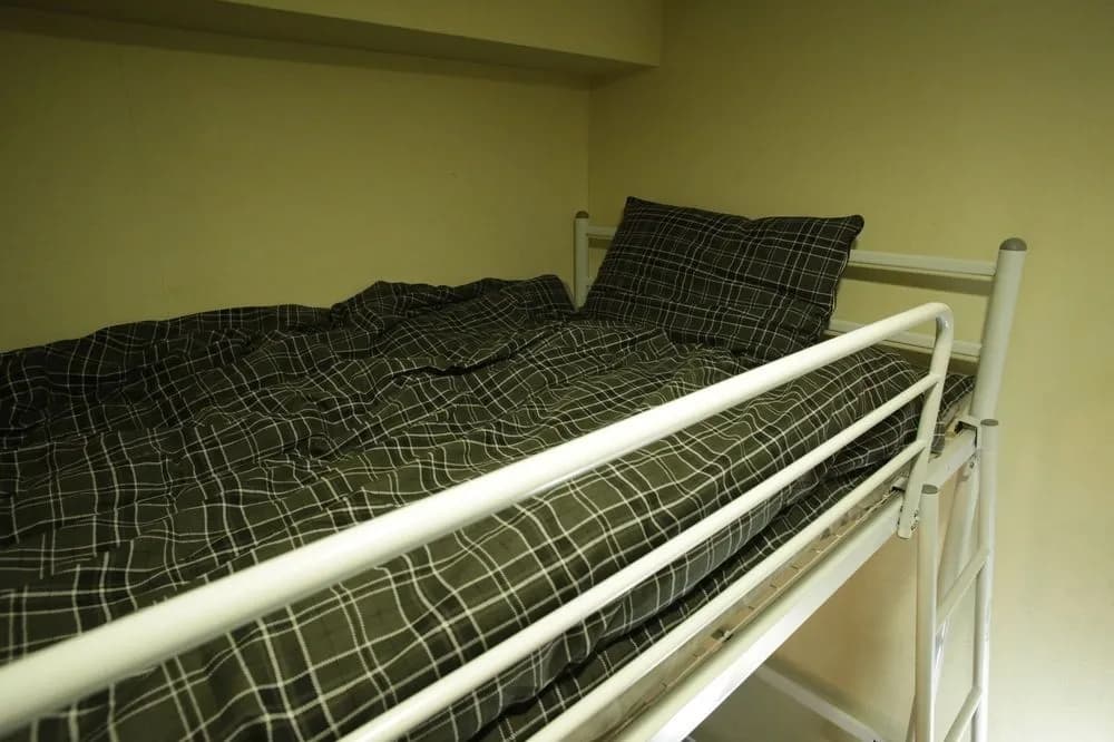 Raise House - photo 8