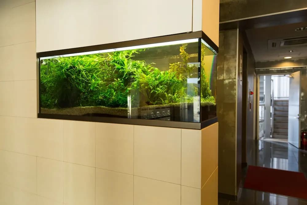 Banboo House - photo 16