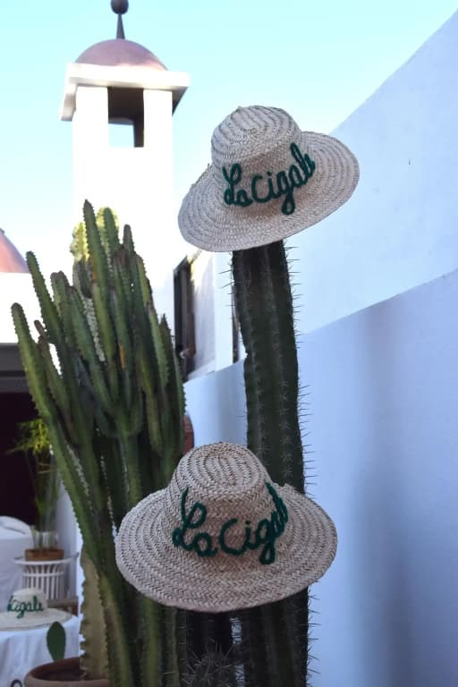 Riad La Cigale - photo 29