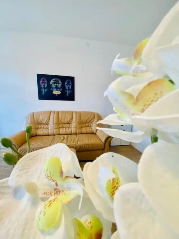 Spacious 4BR for 15 & 15 Min to Danube - photo 38