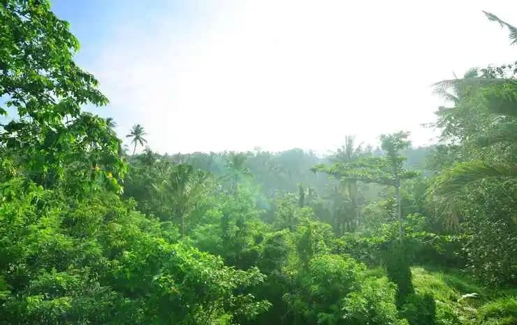 The Loyik Villa Ubud - photo 12