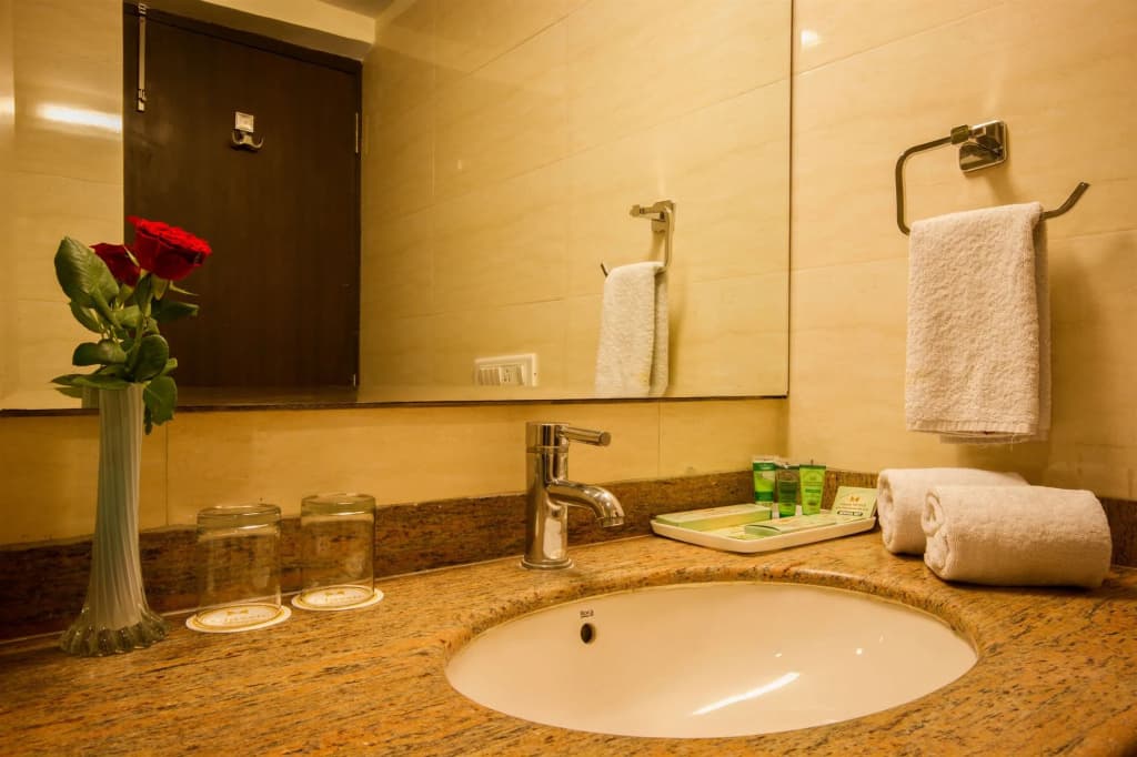 Hotel Classic Diplomat - photo 8
