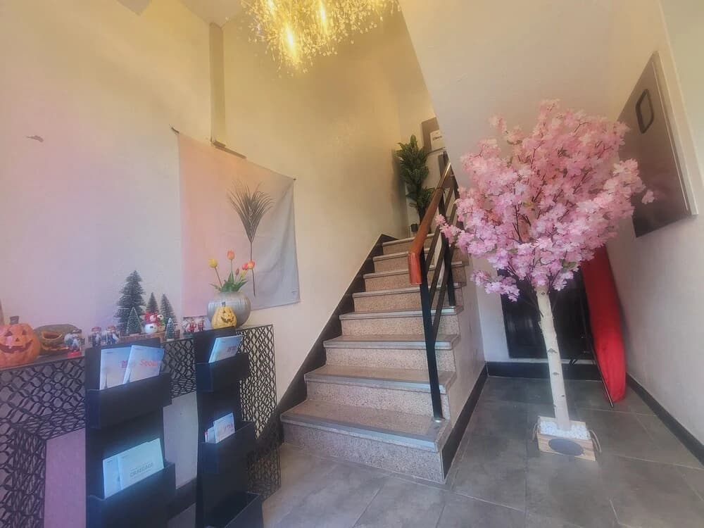 Olive Hostel - photo 8