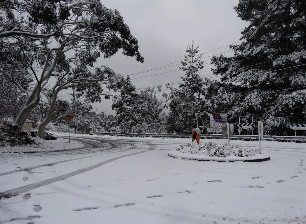 Corner Manor Leura - photo 17