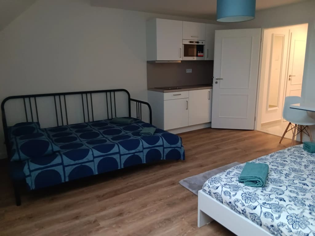 1 Br Apartment at Prague 1 - photo 2