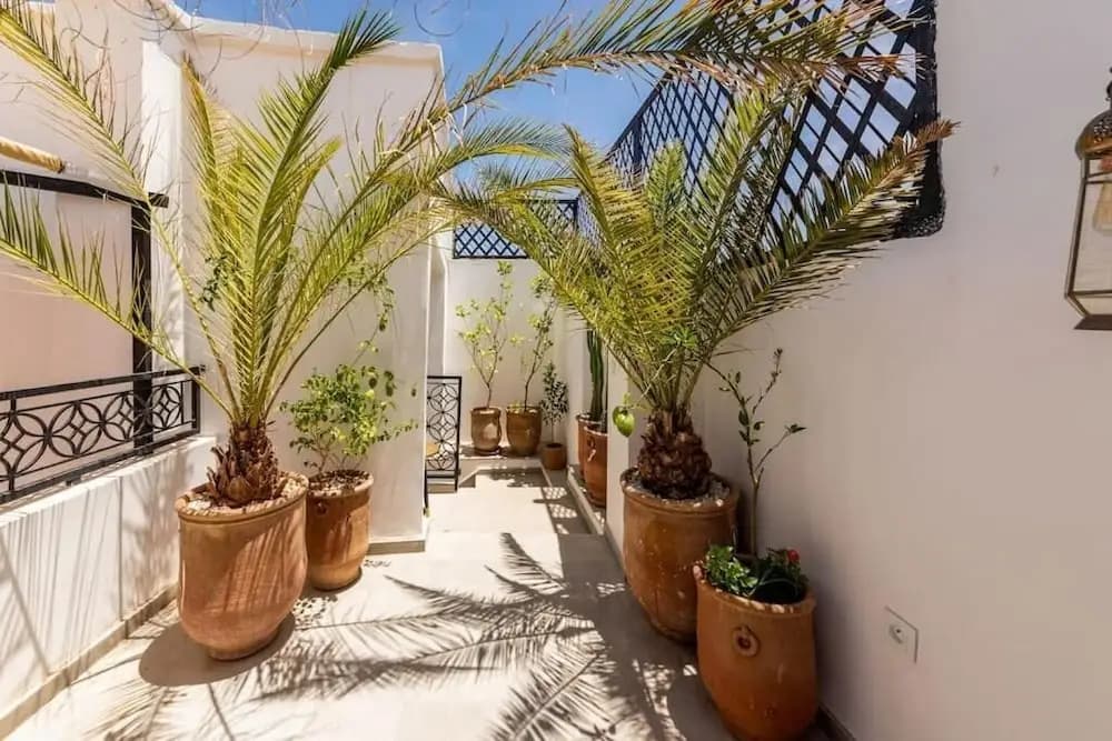 Riad Olika - photo 15