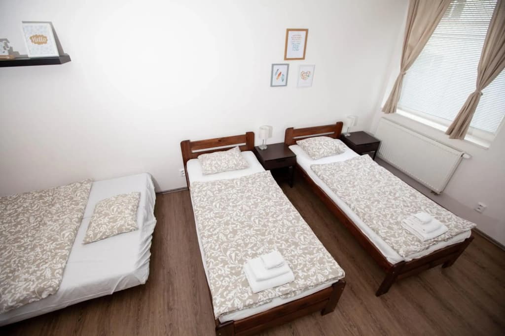 Zizkov Cosy Studio Apartments - photo 1