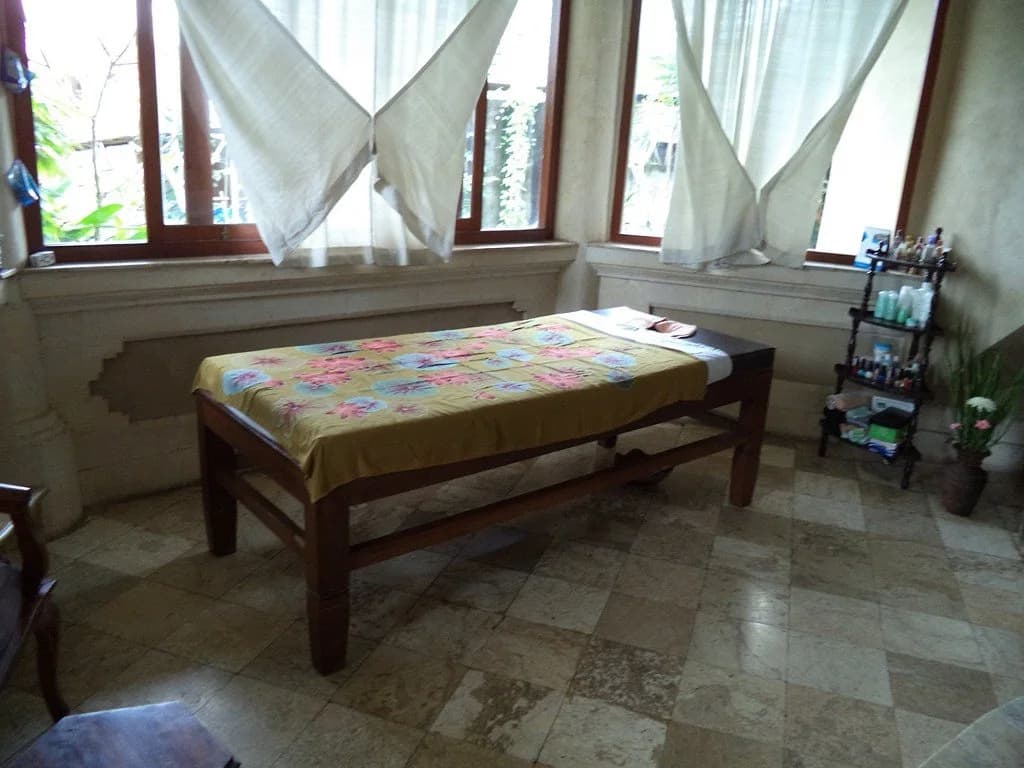 Panorama Hotel Ubud - photo 2