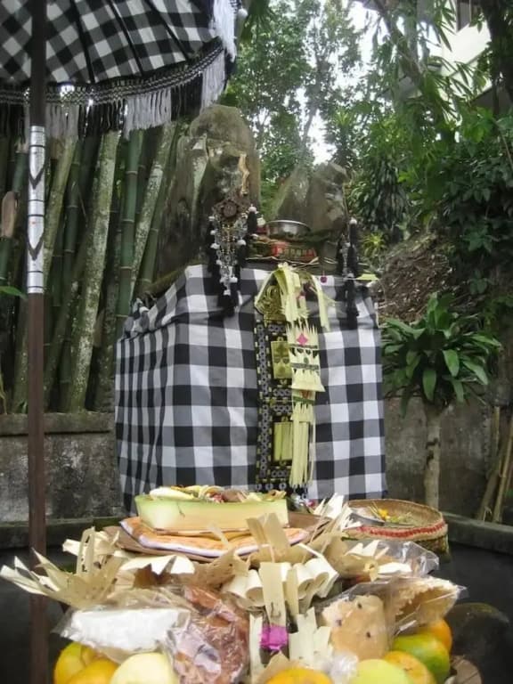 Ubud Wins Bungalow - photo 35