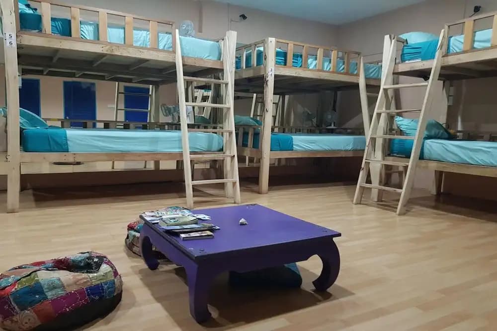 Casa Luna Hostel - photo 21