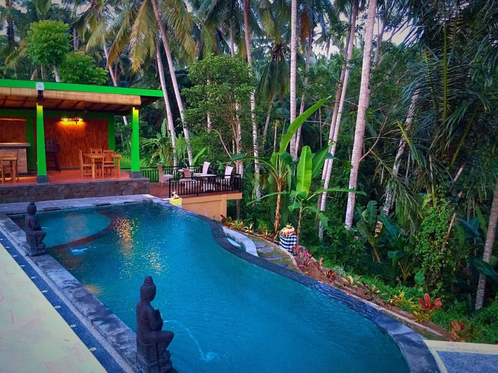 Dupa Ubud Villa - photo 14
