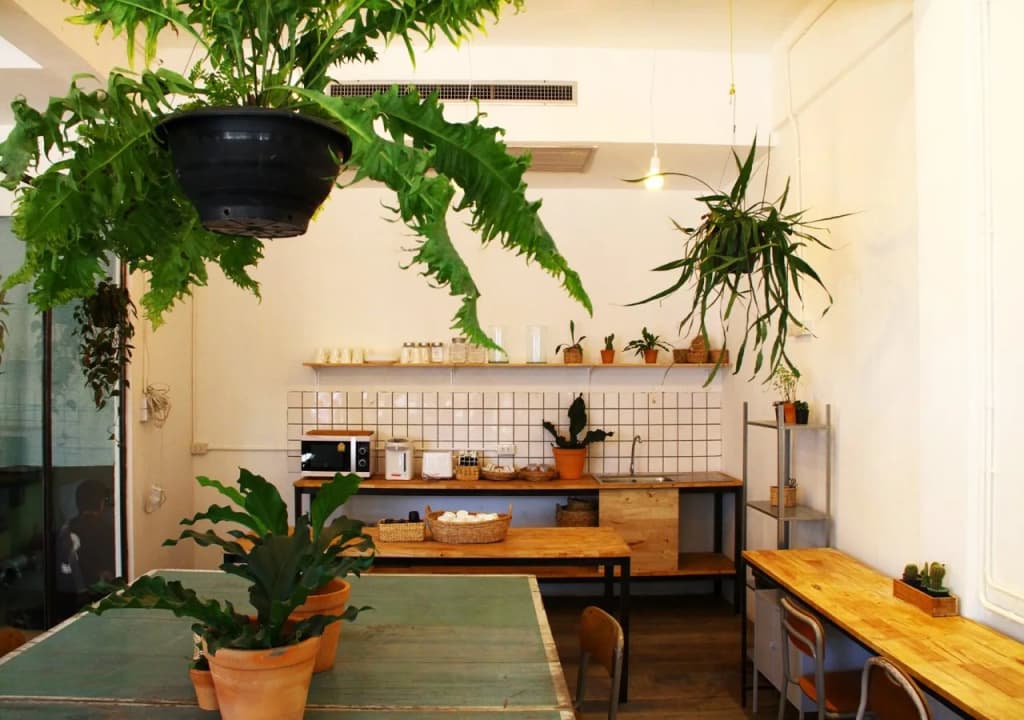 Green Sleep Hostel - photo 2