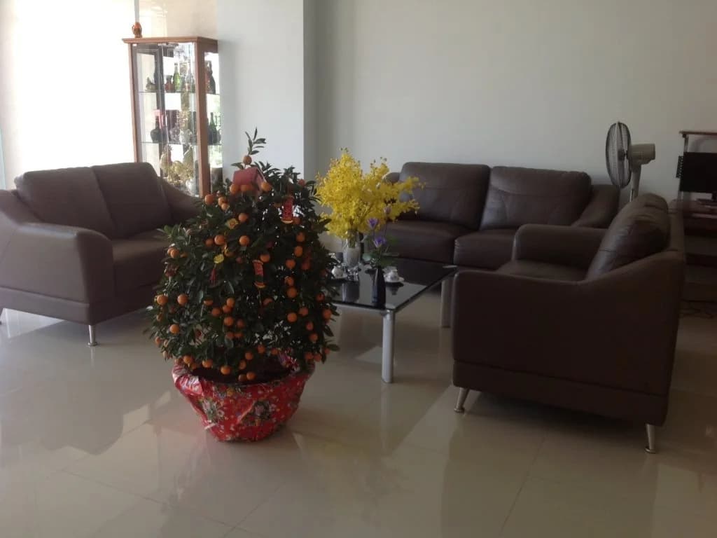 Giang Quynh Lan Guest House - photo 3