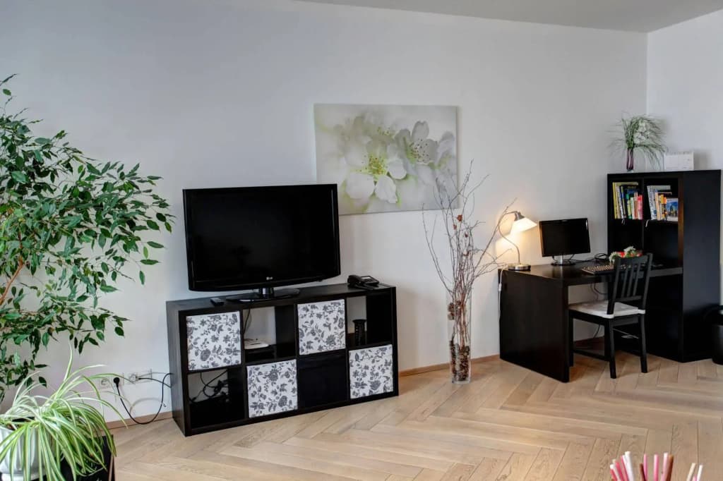 Gasser Apartments Vienna - photo 5