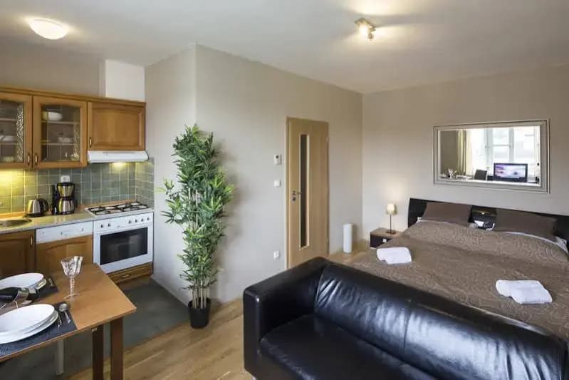 Apartment at Wenceslas Square - photo 20