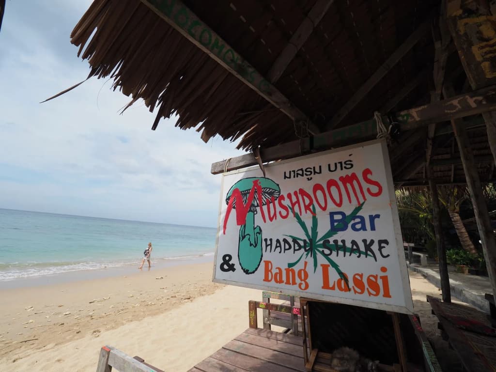 Green Garden Resort - photo 15