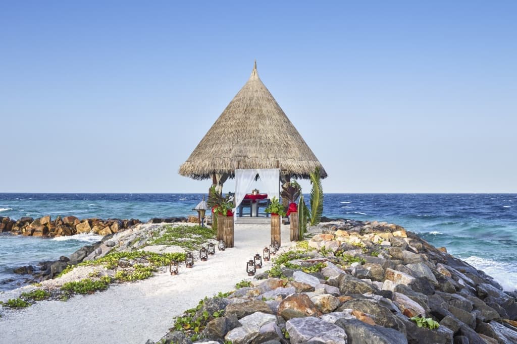 Taj Coral Reef Resort & Spa - photo 19