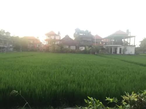 Depong Homestay - photo 1
