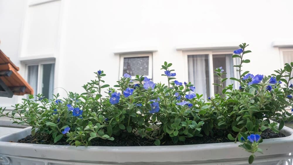 Sunny's House - photo 7