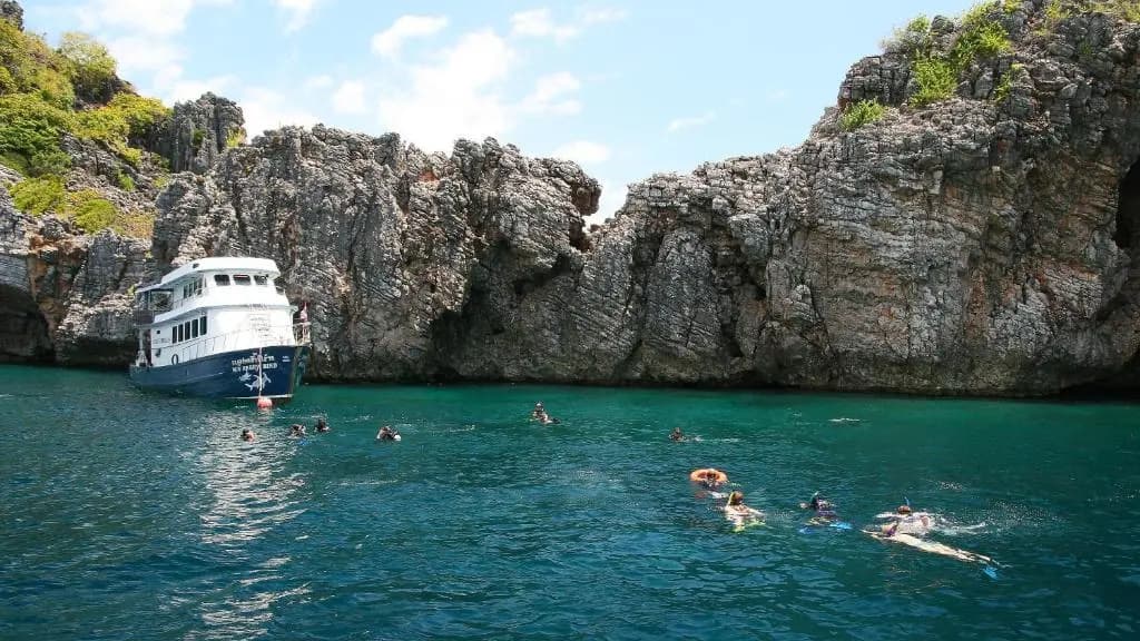 Sea Culture - photo 5