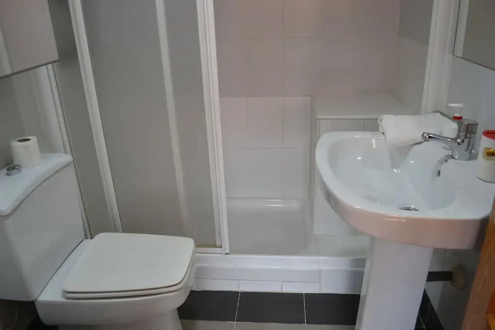 Apartamentos Calle Barquillo - photo 10