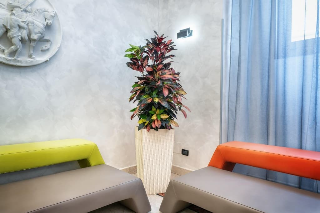 Varese Roma Hotel - photo 17