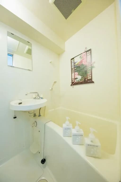 Tatsuya house312 - photo 12