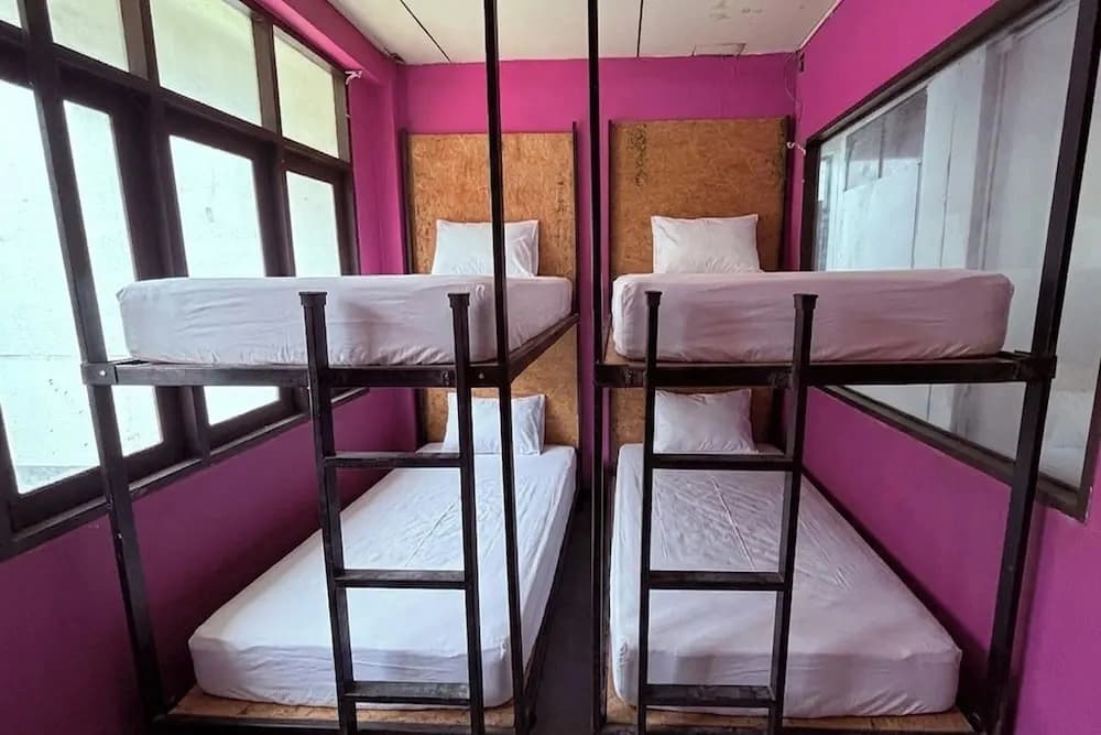 Pink Kraken Hostel - photo 2