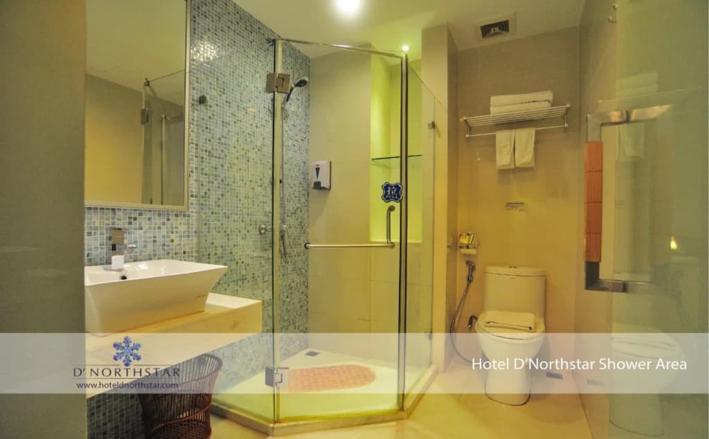 D North Star Hotel & Spa - photo 8