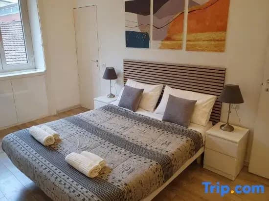 Spacious & Lovely - 4 Queen Bed - photo 8