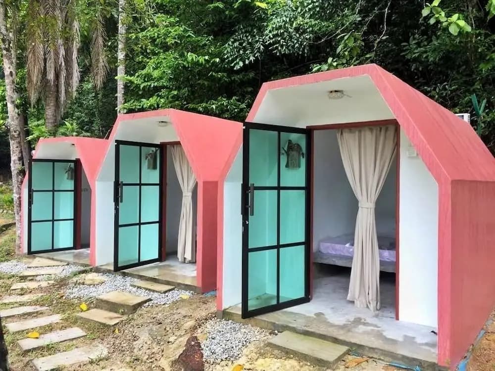 Eco Capsule Resort - photo 7