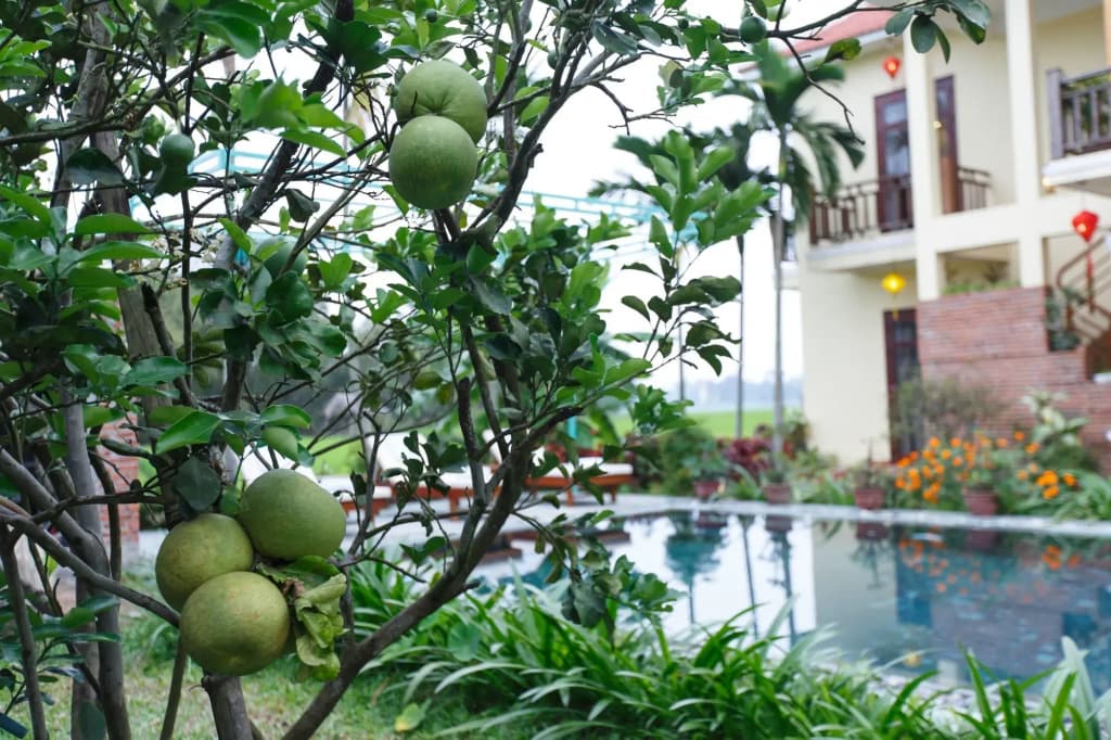 Lama Villa Hoi An - photo 12