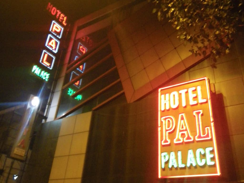 Hotel Pal Palace - main photo