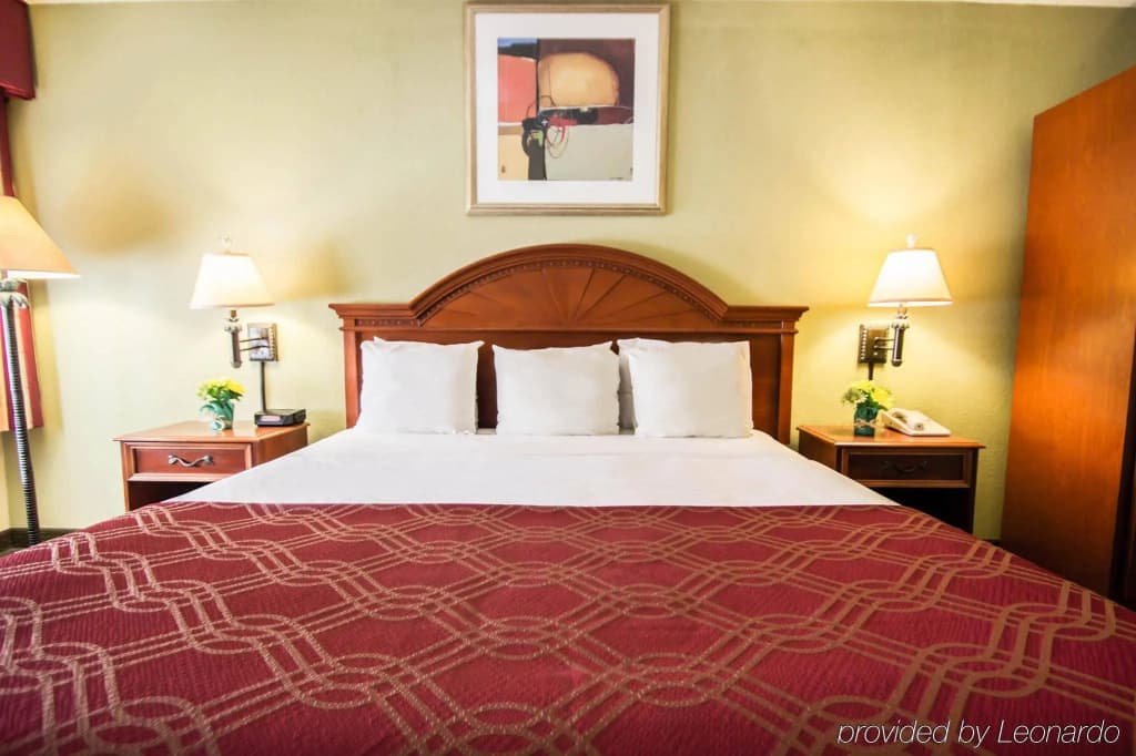 Stayable Orlando - photo 4