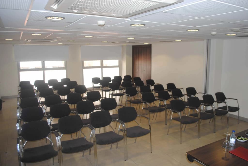 Suites Viena Plaza De Espana Hotel - photo 31