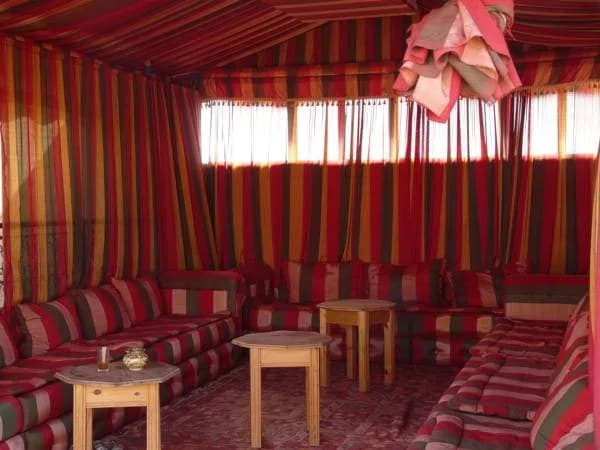 Riad Taddert - photo 15