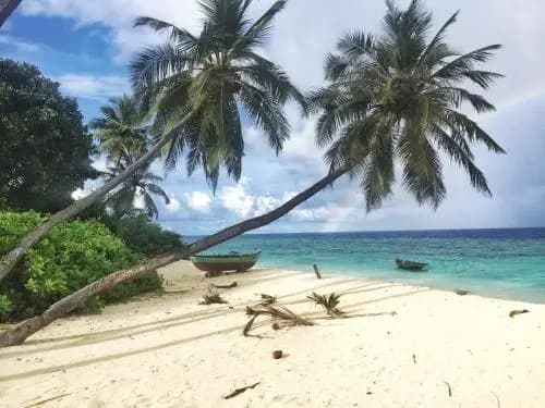 Island Host - photo 8