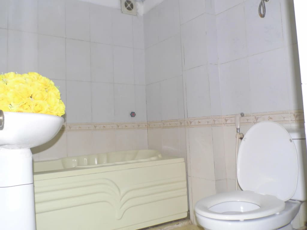 Home Backpackers Hostel - photo 8
