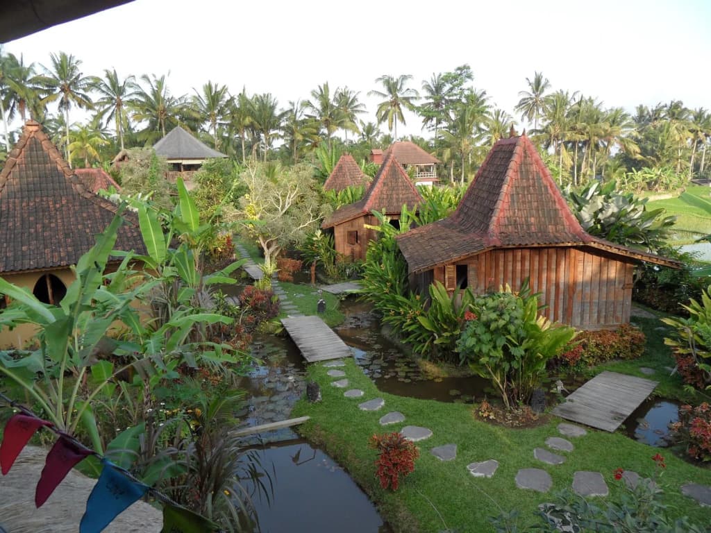 Dragonfly Village - photo 20