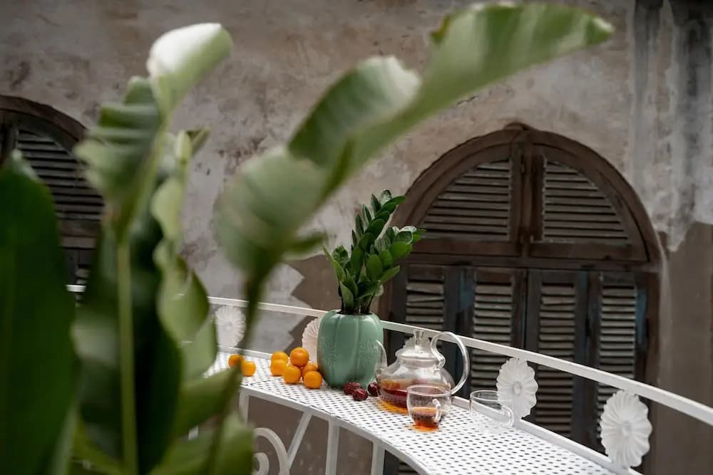 Centraltique Hidden Oasis - photo 9