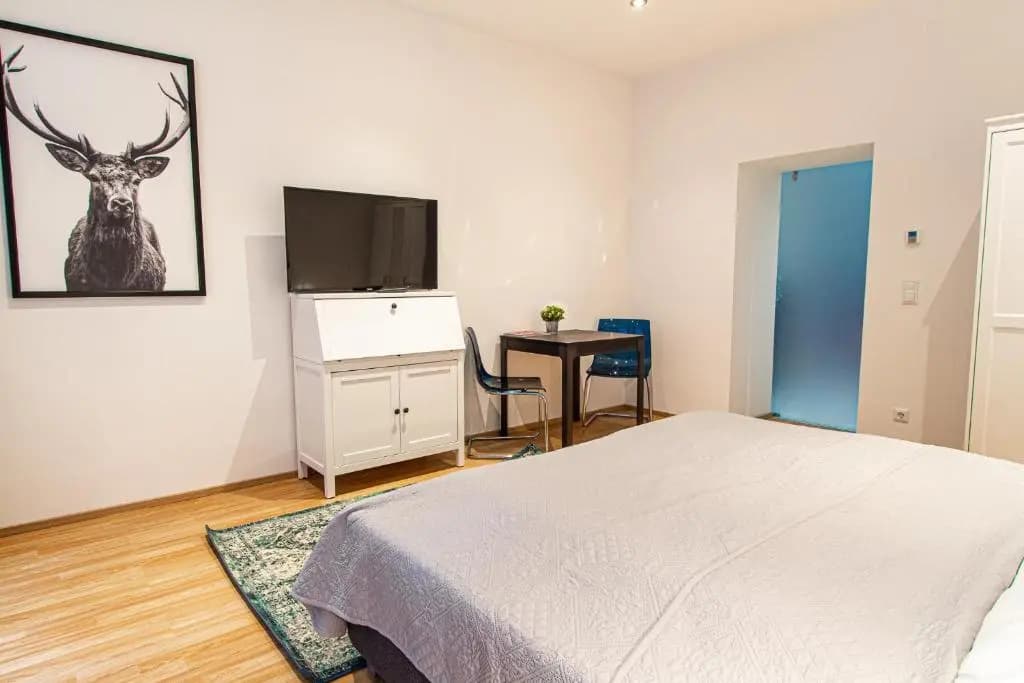 APARTMENT RüDIGERGASSE - photo 3