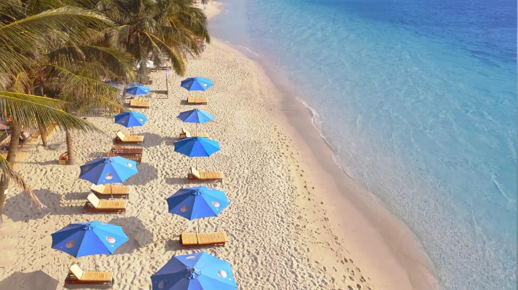 Orange Resort - photo 33