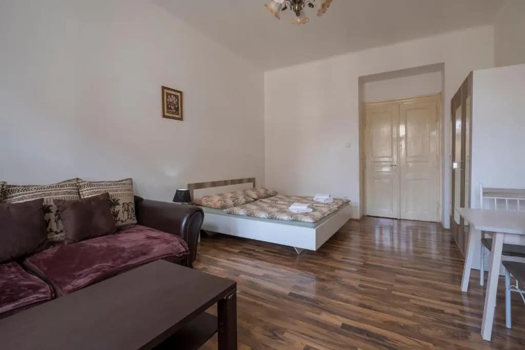 Downtown Apartments Prague - photo 3