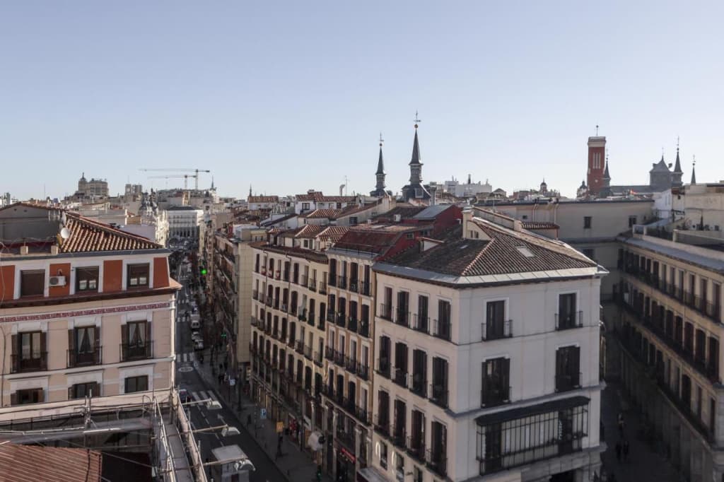 Petit Palace Plaza Mayor - photo 46