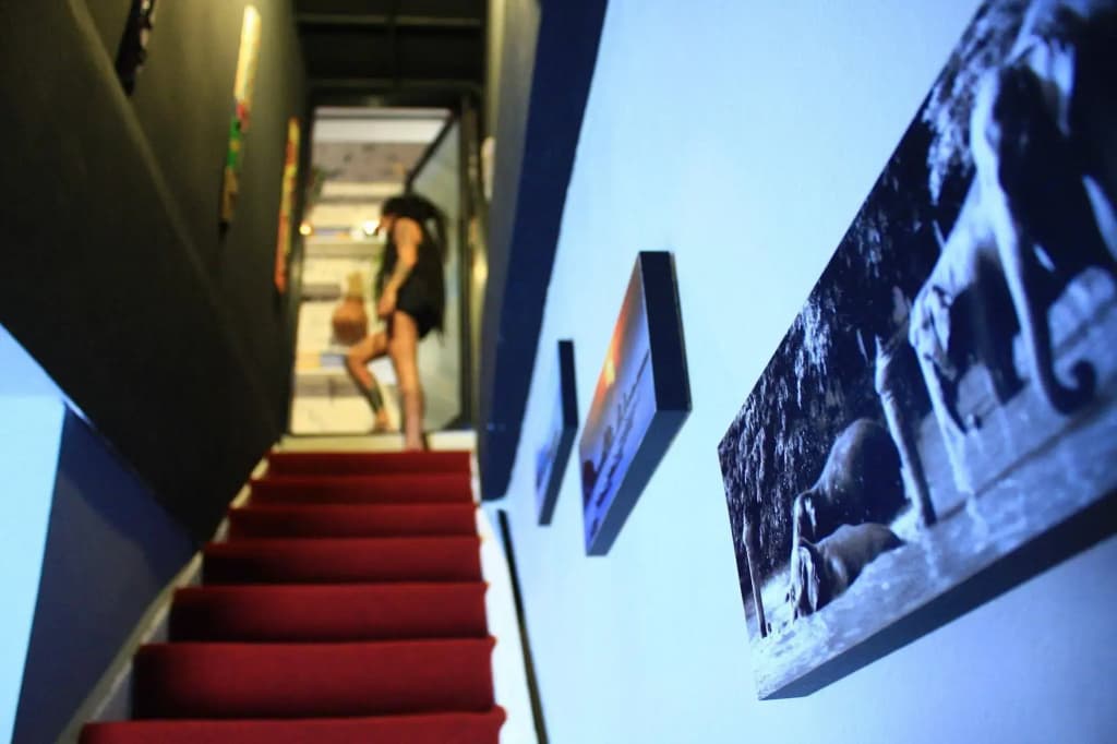 My Samui Hostel - photo 8