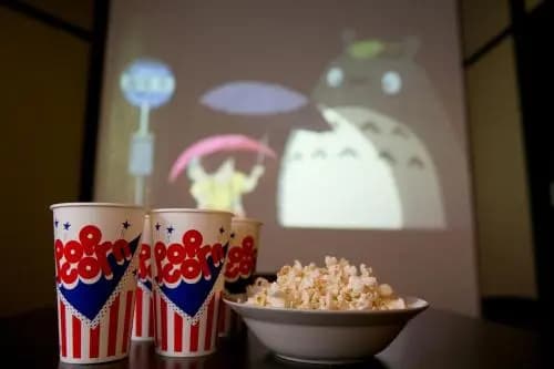 Toji Machiya Cinema - photo 9