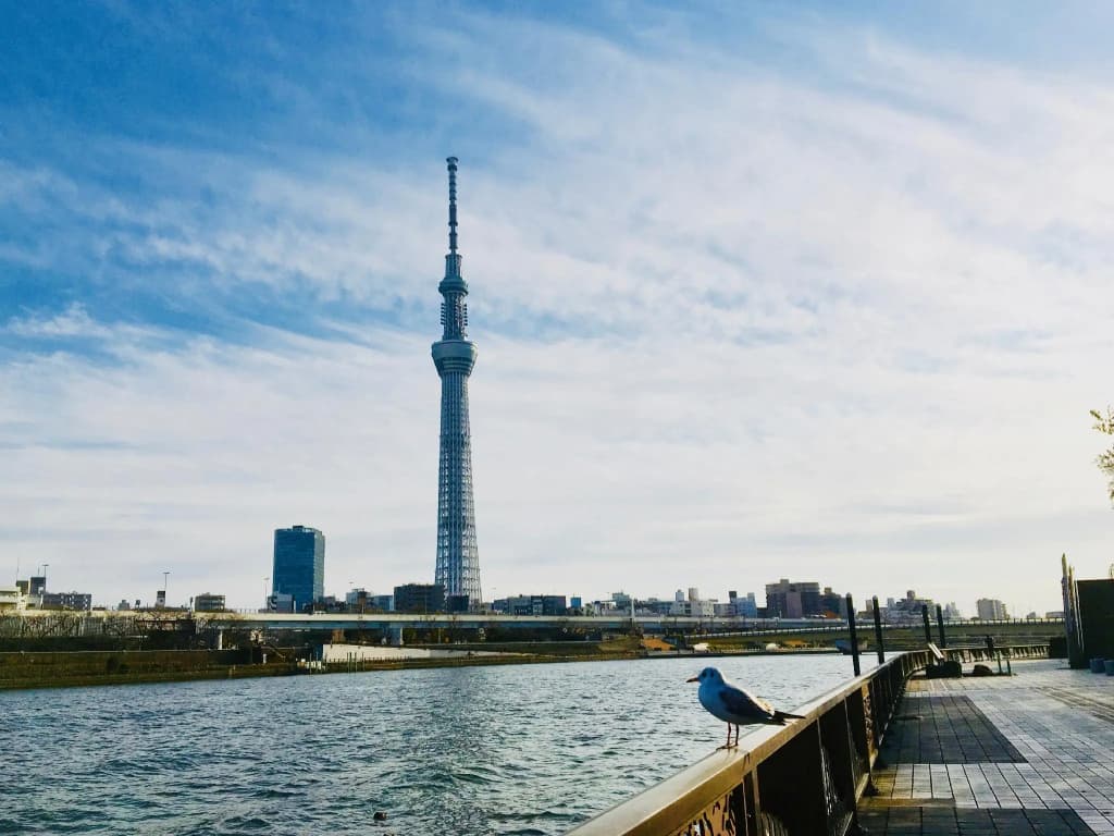 Kangaroo Hotel Side B Hotel - photo 16