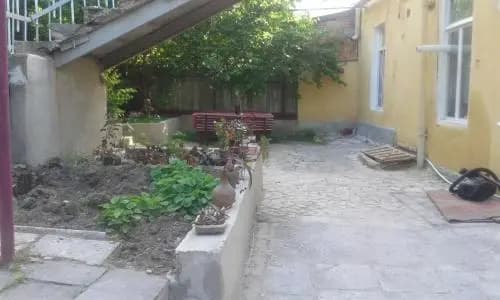 Lemon Family Guesthouse - photo 15