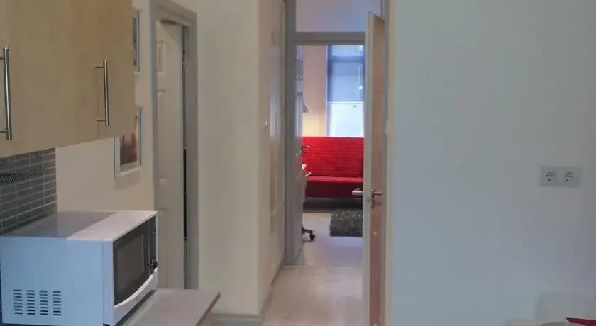 Downtown Apartment Szondi - photo 6